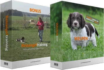 WELPENZEIT – Schritt für Schritt zum tollen Hund